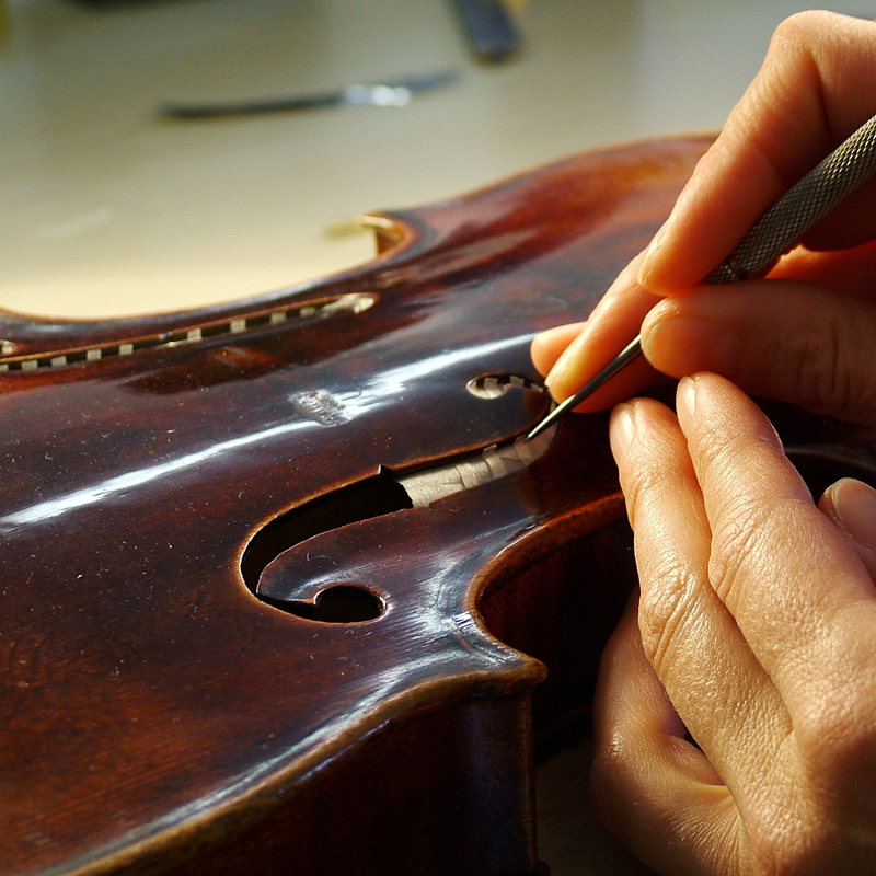 Saving the pernambuco tree gramophone.co.uk