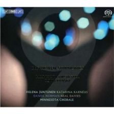 Beethoven's Ninth Symphony Beethoven's Ninth Symphony