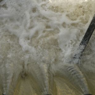 London begins: Teddington Weir (photo: Bill Fontana) London begins: Teddington Weir (photo: Bill Fontana)